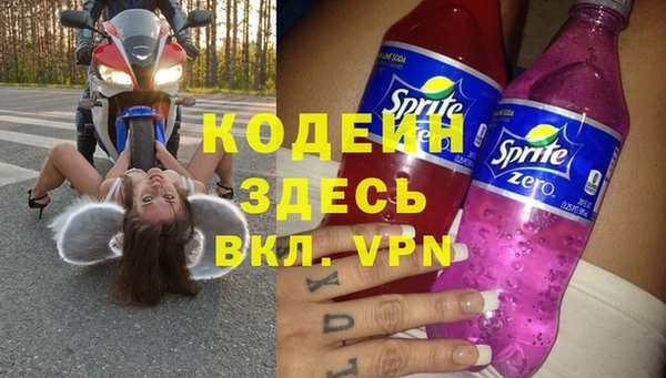 прущие грибы Инсар