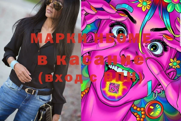 прущие грибы Инсар